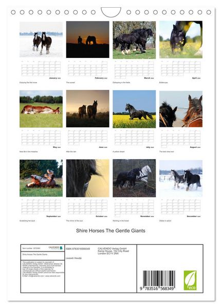 Produktbild: Shire Horses The Gentle Giants (Wall Calendar 2026 DIN A4 portrait), CALVENDO 12 Month Wall Calendar