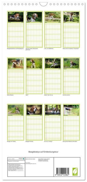 Produktbild: Familienplaner 2026 - Beaglebabys auf Entdeckungstour mit 5 Spalten (Wandkalender, 21 x 45 cm) CALVENDO