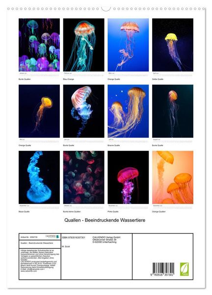 Produktbild: Quallen - Beeindruckende Wassertiere (Wandkalender 2026 DIN A2 hoch), CALVENDO Monatskalender