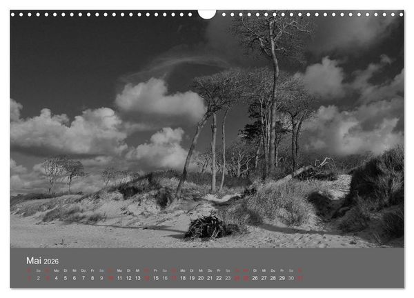Produktbild: Ostsee - von schwarz bis wei&szlig; (Wandkalender 2026 DIN A3 quer), CALVENDO Monatskalender