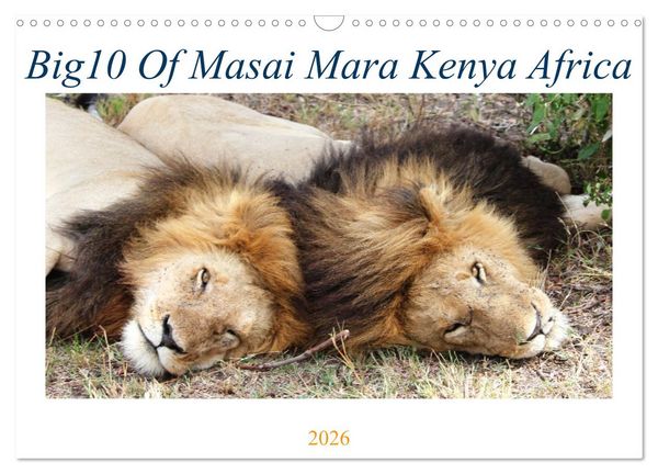 Produktbild: Big10 Of Masai Mara Kenya Africa (Wall Calendar 2026 DIN A3 landscape), CALVENDO 12 Month Wall Calendar