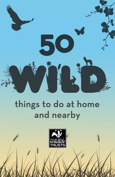 Produktbild: 50 Wild Things to Do