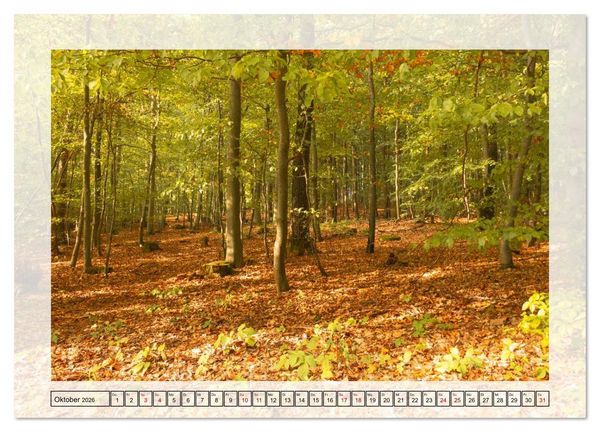 Produktbild: Jeden Monat in der Natur (Wandkalender 2026 DIN A2 quer), CALVENDO Monatskalender