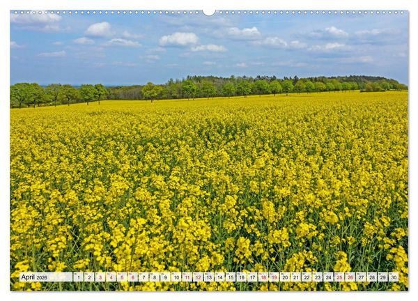 Produktbild: Die Eifel und das Hohe Venn (Wandkalender 2026 DIN A2 quer), CALVENDO Monatskalender