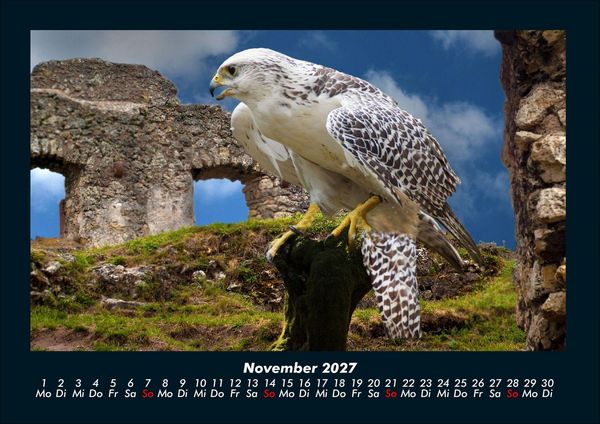 Produktbild: Welt der V&ouml;gel 2027 Fotokalender DIN A4