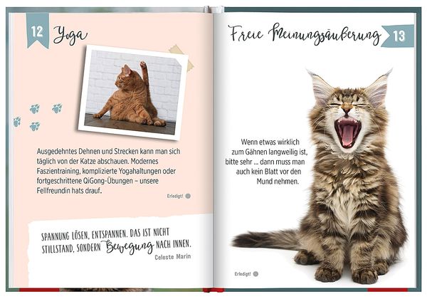 Produktbild: 100 Dinge, die man von einer Katze lernen kann