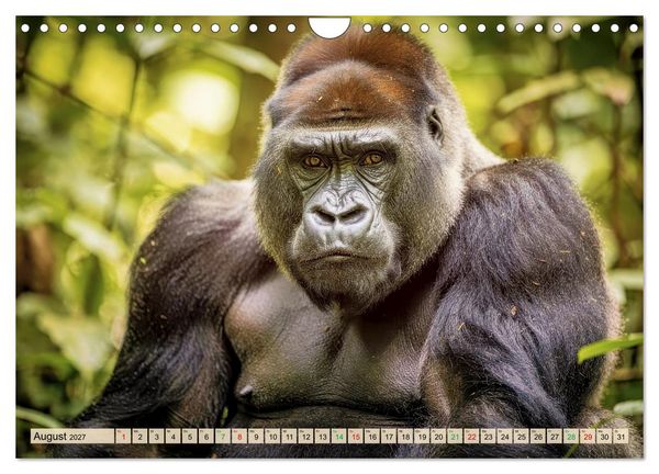Produktbild: Die intelligentesten Tiere - Weltweit (Wandkalender 2027 DIN A4 quer), CALVENDO Monatskalender