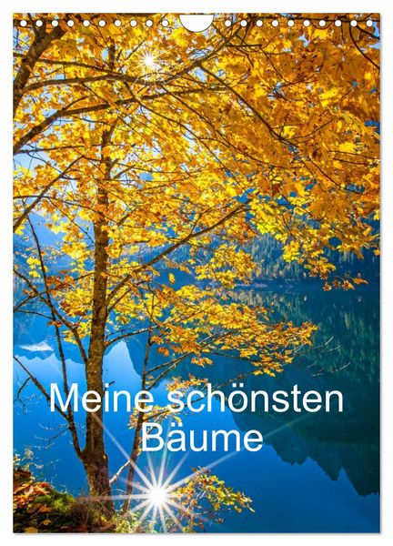Produktbild: Meine sch&ouml;nsten B&auml;ume (Wandkalender 2027 DIN A4 hoch), CALVENDO Monatskalender