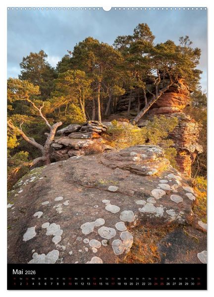 Produktbild: NATURWUNDER PF&Auml;LZERWALD (Wandkalender 2026 DIN A2 hoch), CALVENDO Monatskalender