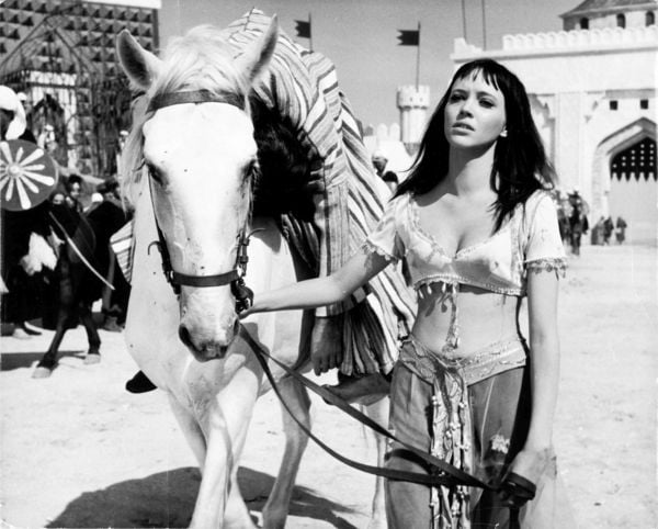 Produktbild: Scheherazade - Der goldene L&ouml;we von Bagdad (Sheherazade)