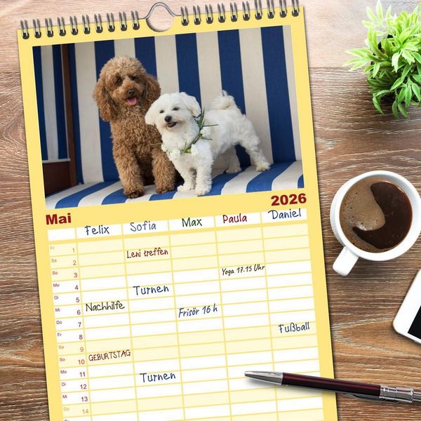 Produktbild: Familienplaner 2026 - Maltipoo - Malteser -Pudel mit 5 Spalten (Wandkalender, 21 x 45 cm) CALVENDO