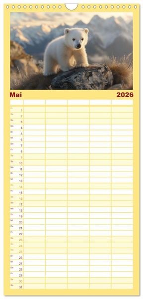 Produktbild: Familienplaner 2026 - Kleiner Eisb&auml;r und die gro&szlig;e Welt mit 5 Spalten (Wandkalender, 21 x 45 cm) CALVENDO
