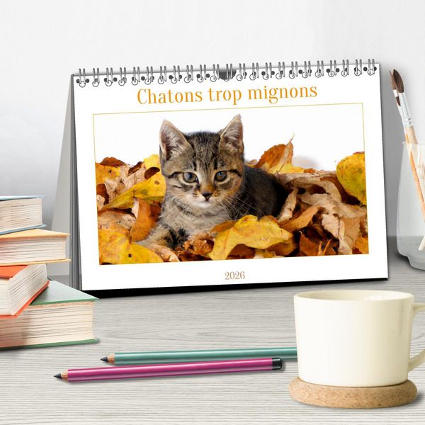 Produktbild: Chatons trop mignons (Calendrier de bureau 2026 DIN A5 vertical), CALVENDO calendrier mensuel
