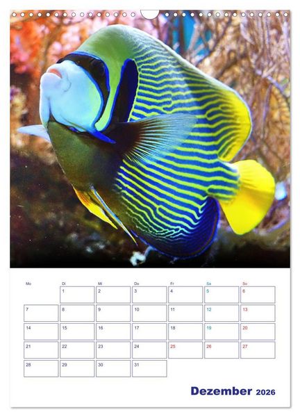 Produktbild: Bunte Meereswelten (Wandkalender 2026 DIN A3 hoch), CALVENDO Monatskalender