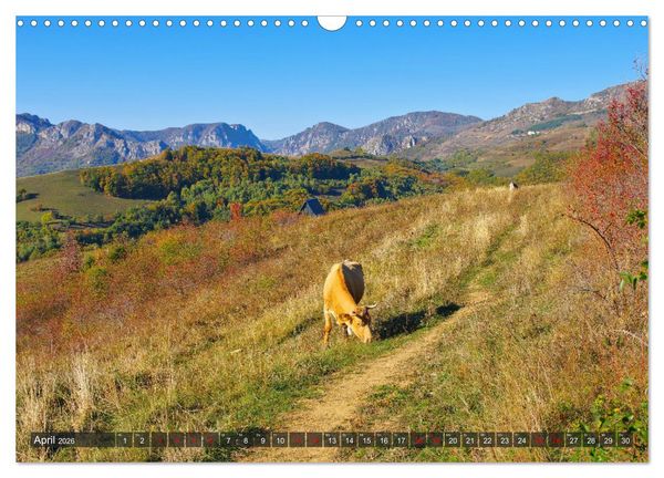 Produktbild: TransApuseni - Sch&ouml;nste Panoramastra&szlig;e in Siebenb&uuml;rgen (Wandkalender 2026 DIN A3 quer), CALVENDO Monatskalender