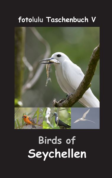 Produktbild: Birds of Seychellen