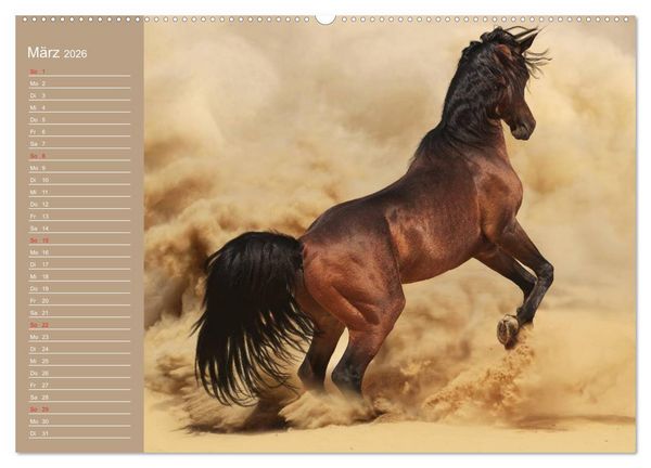 Produktbild: Pferde. Araber im W&uuml;stensand (Wandkalender 2026 DIN A2 quer), CALVENDO Monatskalender