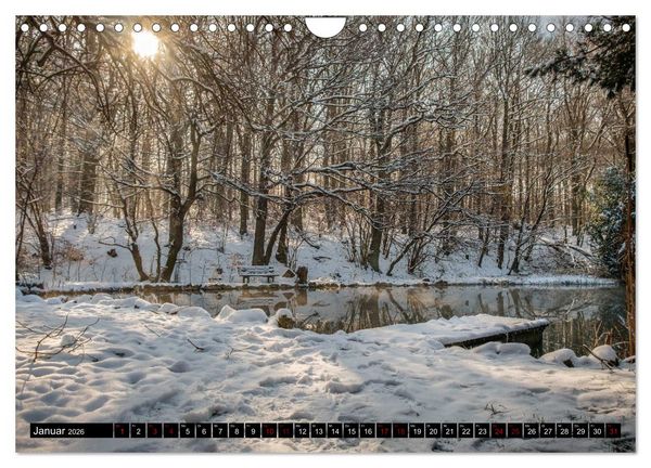 Produktbild: Wege des einfachen Gl&uuml;cks - Spazierg&auml;nge im Wald (Wandkalender 2026 DIN A4 quer), CALVENDO Monatskalender