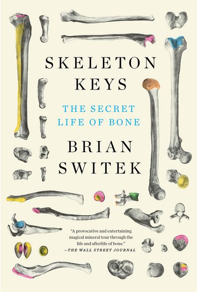 Produktbild: Skeleton Keys