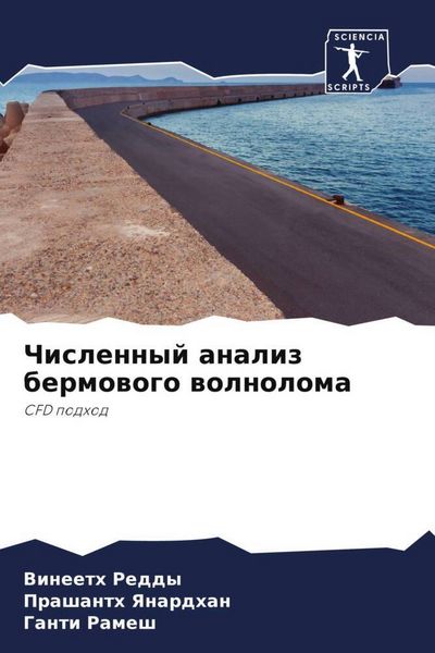 Produktbild: Chislennyj analiz bermowogo wolnoloma