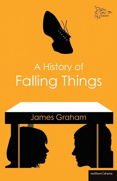 Produktbild: A History of Falling Things