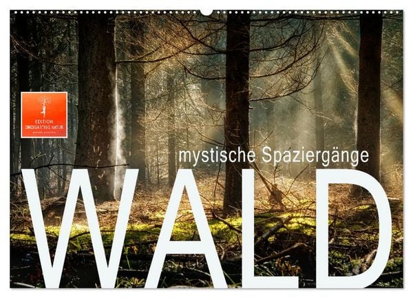 Produktbild: Wald - mystische Spazierg&auml;nge (Wandkalender 2026 DIN A2 quer), CALVENDO Monatskalender