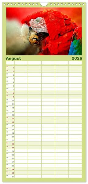 Produktbild: Familienplaner 2026 - Mein bunter Papagei mit 5 Spalten (Wandkalender, 21 x 45 cm) CALVENDO