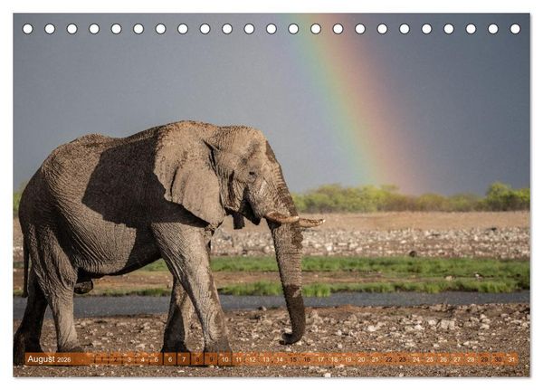 Produktbild: Das s&uuml;dliche Afrika 2026 (Tischkalender 2026 DIN A5 quer), CALVENDO Monatskalender