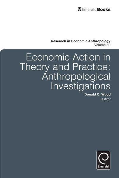 Produktbild: Economic Action in Theory and Practice
