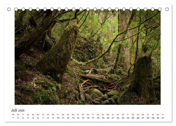 Produktbild: Yakushima - Japans Weltnaturerbe (Tischkalender 2026 DIN A5 quer), CALVENDO Monatskalender