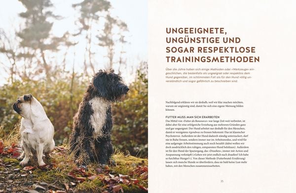 Produktbild: Leinen los! Freilauftraining f&uuml;r den Hund