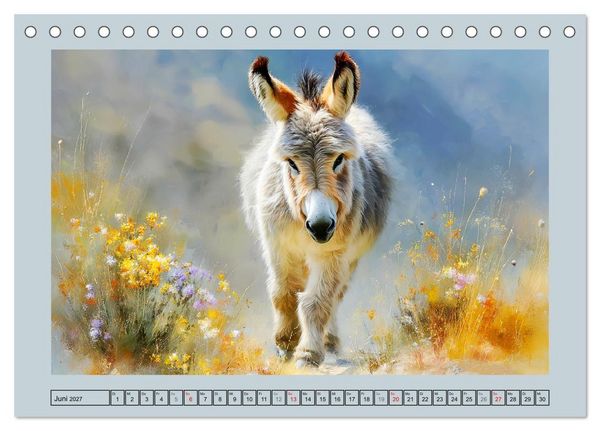 Produktbild: Zwergesel. Kleine Langohren mit gro&szlig;em Charme (Tischkalender 2027 DIN A5 quer), CALVENDO Monatskalender