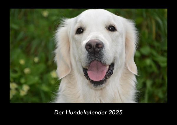 Produktbild: Der Hundekalender 2025 Fotokalender DIN A3