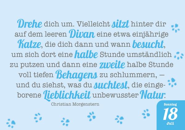 Produktbild: Katzenpoesie 2027