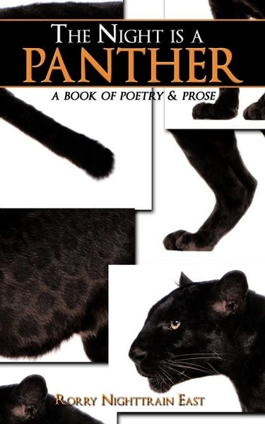 Produktbild: The Night is a Panther