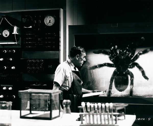 Produktbild: Tarantula