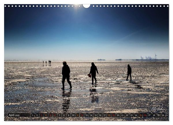 Produktbild: Friesland - Watt und Nordsee / CH-Version (Wandkalender 2026 DIN A3 quer), CALVENDO Monatskalender