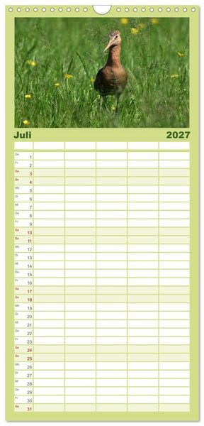 Produktbild: Familienplaner 2027 - Die bedrohten Uferschnepfen mit 5 Spalten (Wandkalender, 21 x 45 cm) CALVENDO