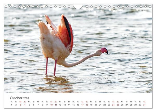 Produktbild: Tier Portraits Tansania (Wandkalender 2026 DIN A4 quer), CALVENDO Monatskalender