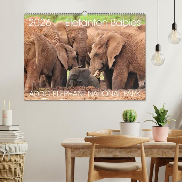 Produktbild: ADDO ELEPHANT NATIONAL PARK Elefanten Babies (Wandkalender 2026 DIN A2 quer), CALVENDO Monatskalender