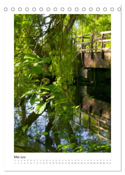 Produktbild: Impressionen aus unserem Wald (Tischkalender 2026 DIN A5 hoch), CALVENDO Monatskalender