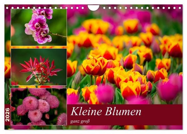Produktbild: Kleine Blumen ganz gro&szlig; (Wandkalender 2026 DIN A4 quer), CALVENDO Monatskalender