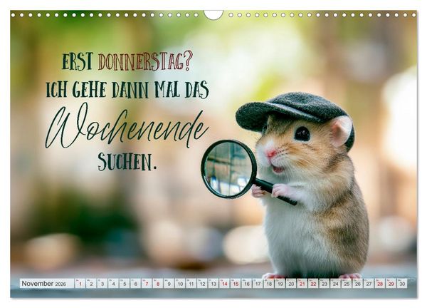 Produktbild: Hamsterhumor - Kleine Zuckerschnute, aber oho (Wandkalender 2026 DIN A3 quer), CALVENDO Monatskalender