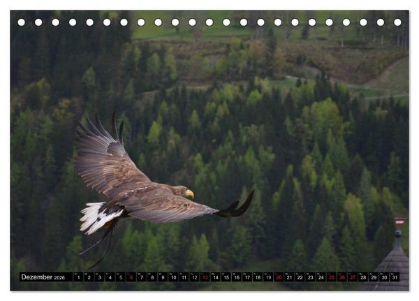 Produktbild: Adler und Greife - K&ouml;nige des Himmels (Tischkalender 2026 DIN A5 quer), CALVENDO Monatskalender