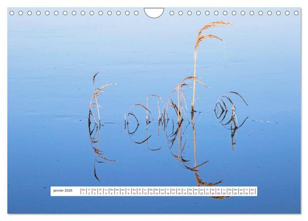 Produktbild: J'adore Le Cotentin (Calendrier mural 2026 DIN A4 vertical), CALVENDO calendrier mensuel