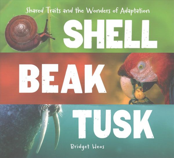 Produktbild: Shell, Beak, Tusk