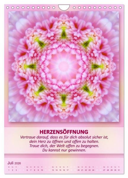 Produktbild: Light Energy Mandalas - Kalender - Vol. 1 (Wandkalender 2026 DIN A4 hoch), CALVENDO Monatskalender