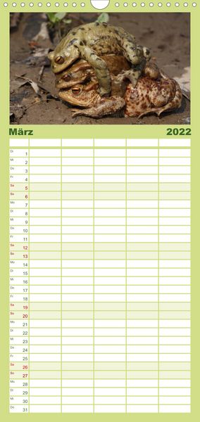 Produktbild: Familienplaner Weltnaturerbe Hainich (Wandkalender 2022 , 21 cm x 45 cm, hoch)