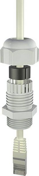Produktbild: Bopla 12002404 Kabelverschraubung M25 Polyamid Lichtgrau (RAL 7035) 1St.