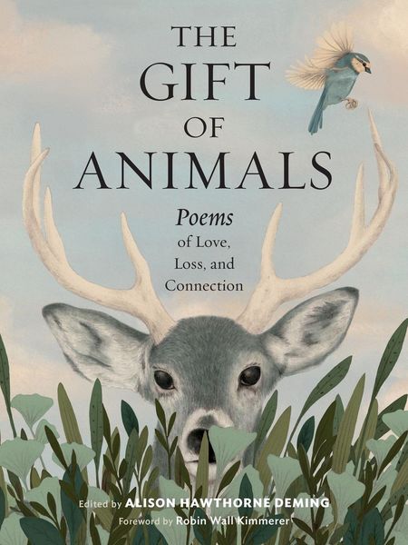 Produktbild: The Gift of Animals